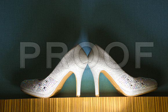 Lizzette_and_Garret_Event_0026