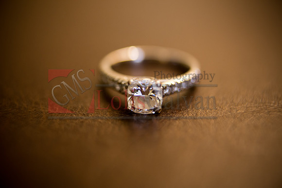 Jose_and_Alejandra_0018
